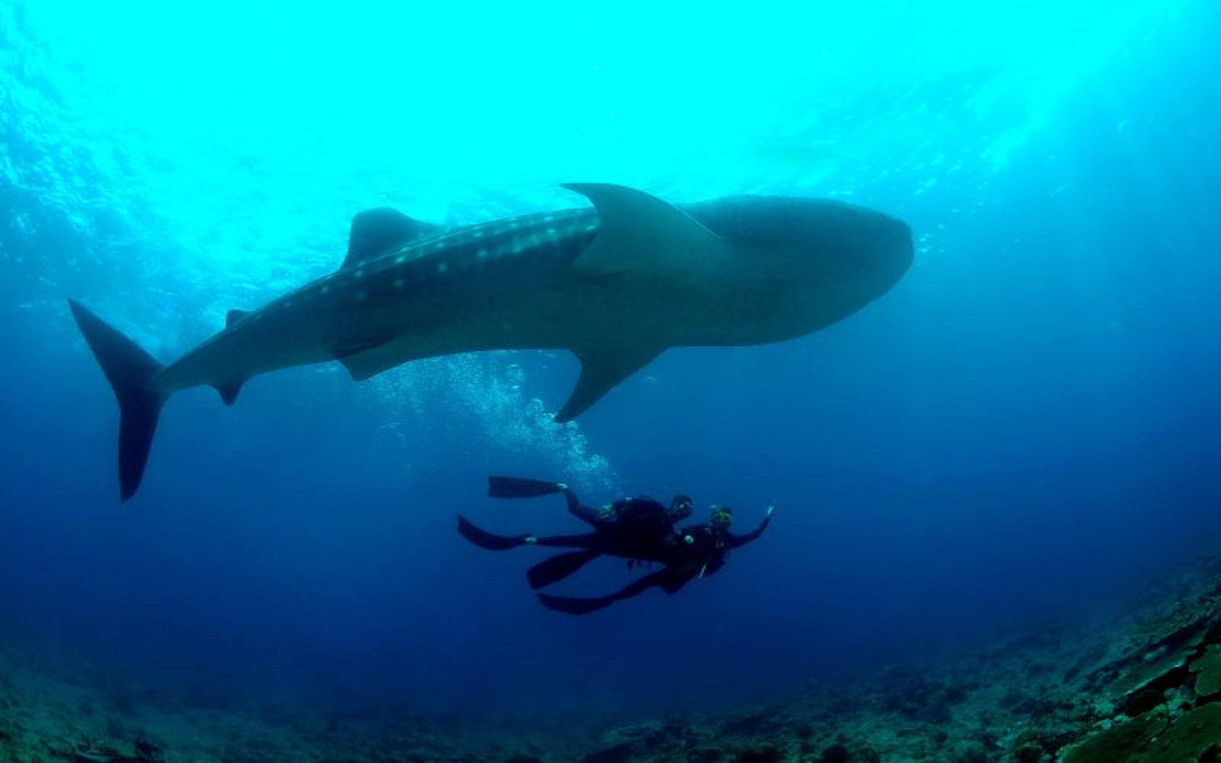 Baglioni Resort Maldives Meedhoo  Zewnętrze zdjęcie